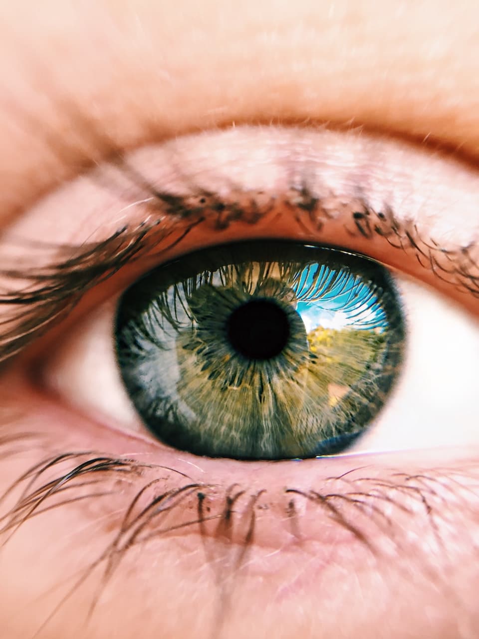 Eye exam at Focus Optical, Rochester Hills MI